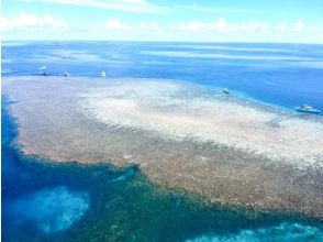 プランの魅力 일본 최대급의 산호초군! の画像