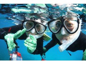 プランの魅力  の画像