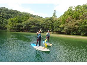 プランの魅力  の画像