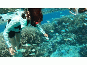 プランの魅力 珊瑚森林浮潛 の画像