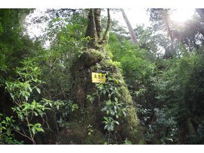 プランの魅力  の画像