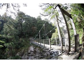 プランの魅力  の画像