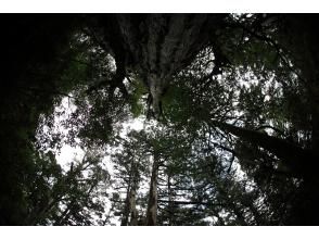 プランの魅力  の画像