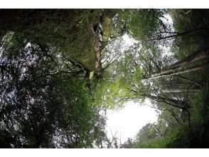 プランの魅力  の画像