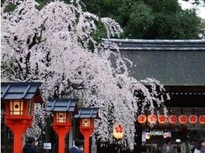プランの魅力 平野神社 の画像