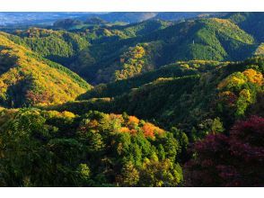 プランの魅力 高尾山 の画像