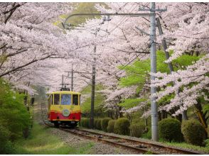 プランの魅力 纜車 の画像