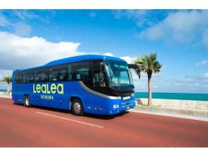 プランの魅力 LeaLeaバスで宮古島をめぐりましょう♪ の画像