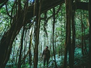 プランの魅力 アニメや童話の世界を生で体験 の画像