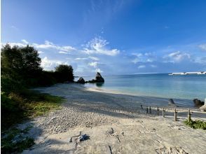 プランの魅力 大人気のゴリラチョップ の画像