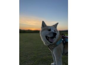 プランの魅力 素敵な１枚を☆ の画像