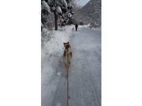 プランの魅力 強靭な足腰！ の画像