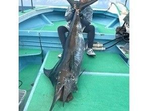 プランの魅力 カジキ の画像