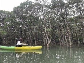 プランの魅力 マングローブでカヌー体験 の画像