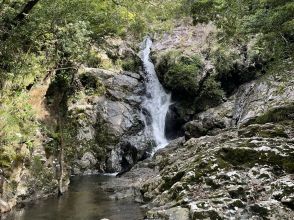 プランの魅力 滝の全貌は圧巻の景色です！ の画像