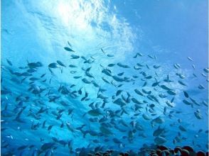 プランの魅力 万が一の傷害保険に加入 の画像