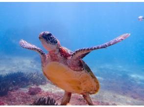 プランの魅力 写真データ無料！ の画像