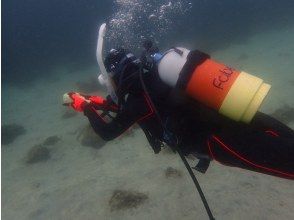 プランの魅力 技術はしっかりと の画像