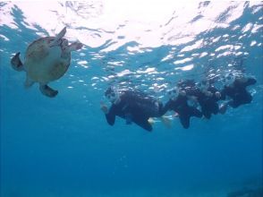 プランの魅力 写真データ無料！ の画像