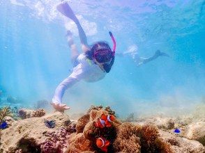 プランの魅力 お子様や女性にも人気！ の画像