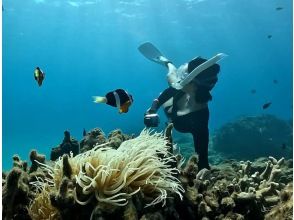 プランの魅力 自然の水族館！ の画像