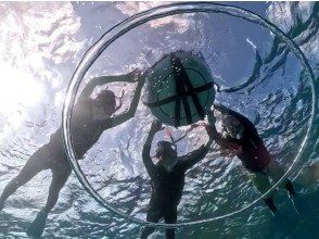 プランの魅力 シニアでも安心！60歳から75歳の方が参加可能！ の画像