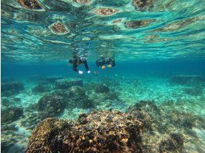 プランの魅力 魚へのエサやり体験　無料！ の画像