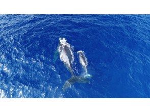 プランの魅力  の画像