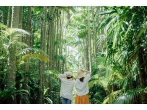 プランの魅力  の画像