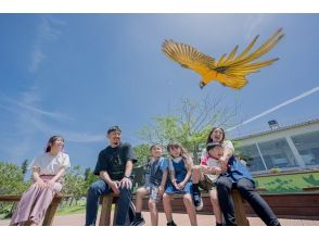 プランの魅力  の画像