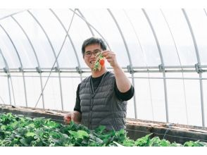 プランの魅力 ワイン農家さんがつくる減農薬いちご！ の画像