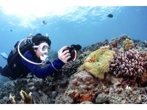 プランの魅力 ツアー中の水中写真無料プレゼント！ の画像