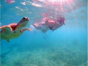 プランの魅力 ラッキーな日！ の画像