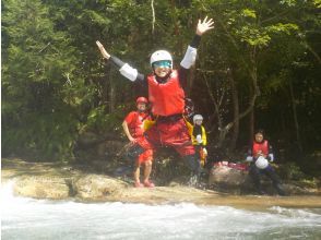 プランの魅力 水面のジャンプ一番 の画像