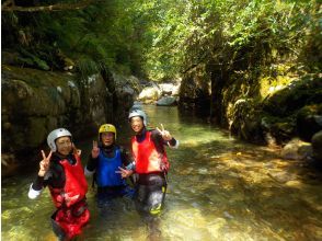 プランの魅力 自然美が美しい の画像