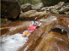 プランの魅力 気分は流しソーメン の画像