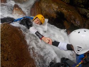 プランの魅力 ファイト一発！ の画像