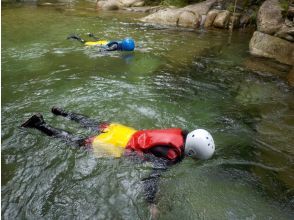 プランの魅力 魚を探してみよう の画像