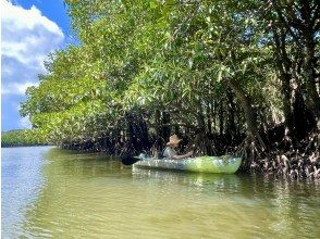 プランの魅力 アクティブな方は一人のりカヌーにチャレンジ の画像