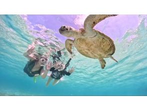 プランの魅力 豊富な写真データ全て無料！ の画像