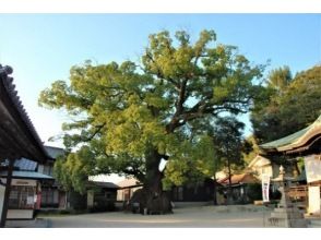 プランの魅力 糸崎神社 の画像