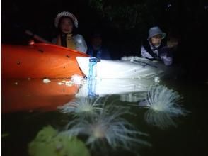 プランの魅力 クーラ川カヤック体験 の画像