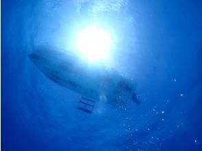 プランの魅力 自社ボートでストレスなく広々と！！ の画像