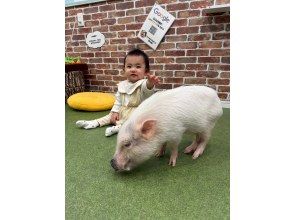 プランの魅力 小さいお子様でもふれあえます！ の画像