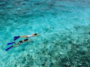 プランの魅力 八重干瀬シュノーケル の画像