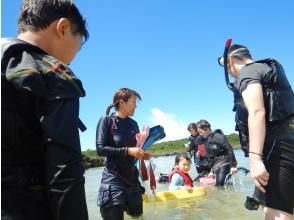 プランの魅力 レベルアップも！ の画像