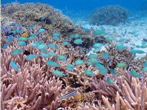 プランの魅力 ポイントはお好みで！ の画像