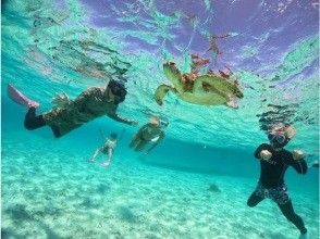 プランの魅力 無料でガイドが写真撮影 の画像