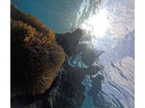 プランの魅力 無料でガイドが撮影 の画像