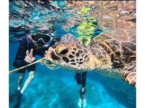 プランの魅力 写真＆動画4Kデータプレゼント の画像